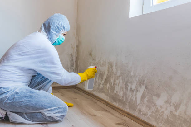 Hvac And Air Duct Mold Remediation inspection of HVAC system in Fords
