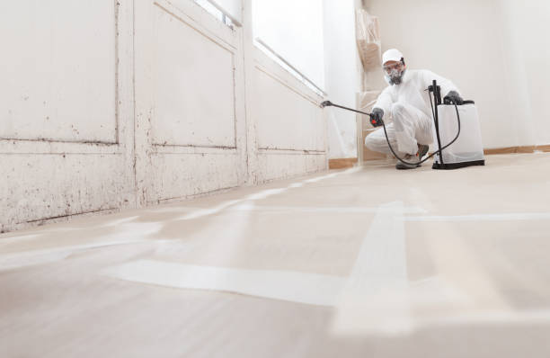 Black mold remediation team in Fords